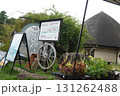 咲き始めたバラの花とハロイン 131262488