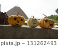 咲き始めたバラの花とハロイン 131262493