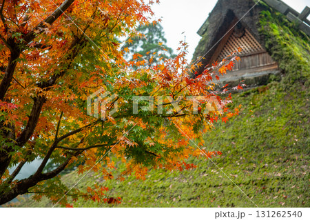 紅葉と茅葺屋根 紅葉と茅葺屋根 131262540