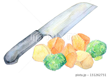 水彩イラスト 手描きイラスト カット野菜 水彩イラスト 手描きイラスト カット野菜 131262731