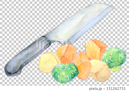 水彩イラスト 手描きイラスト カット野菜 水彩イラスト 手描きイラスト カット野菜 131262731