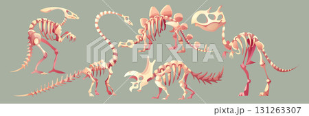 Dinosaur fossil skeleton set 131263307