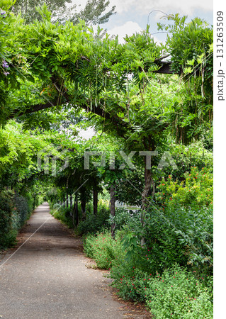 Lush garden in the city 131263509