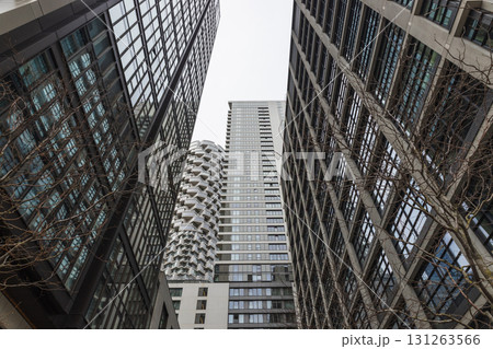 Modern skyscrapers forming an urban canyon, glass office towers looking upward Modern skyscrapers forming an urban canyon, glass office towers looking upward 131263566