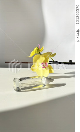 Glass cosmetic dropper with transparent facial serum and bottle on light background with orchid and natural sunlight. Beauty skincare product 131263570