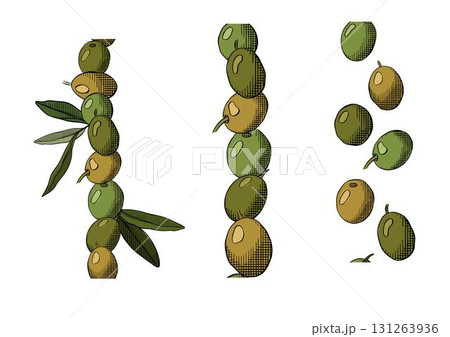Olive berry and leaves seamless border vertical set. Vector graphic line ink colored illustration. Greek oil harvest. Packaging print for food design 131263936