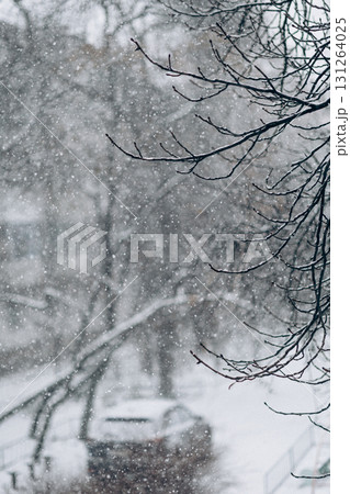 Beautiful view of city street with cottages and trees on winter day Beautiful view of city street with cottages and trees on winter day 131264025