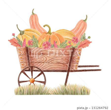 Autumn harvest cart with pumpkins and gourds, hand drawn illustration 131264792