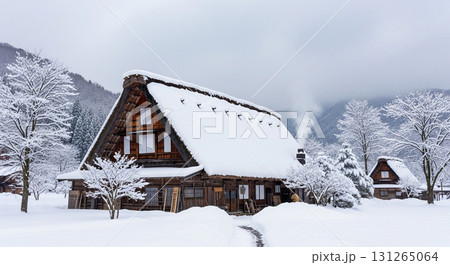 雪深い合掌造りの風景 131265064