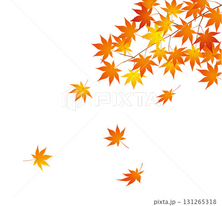 秋のイメージ紅葉01 131265318