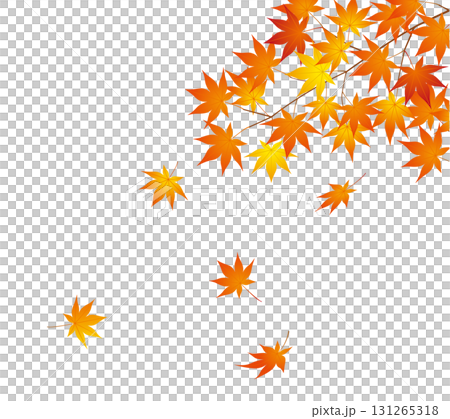 秋のイメージ紅葉01 131265318