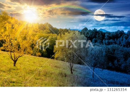forest on the hill in rural area of mountains on autumn equinox. day and night time change concept. deciduous trees near grassy meadow in september with sun and moon at twilight 131265354