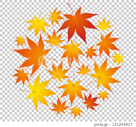 秋のイメージ紅葉06 131265627