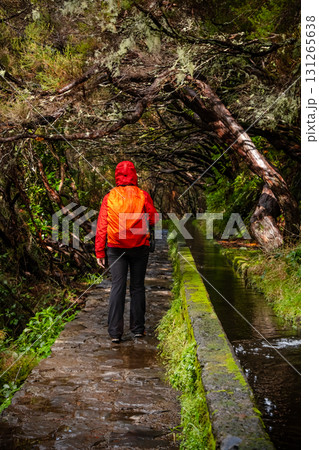 Tourist on Levada do Norte on the Portuguese island of Madeira. Levada irrigation canal. Hiking in Madeira. Narrow path next to the levada. Green mountains and ocean in background. 131265638