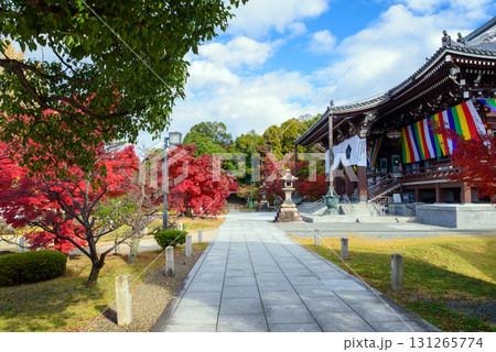 秋の智積院 131265774