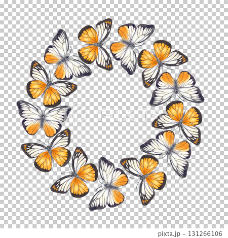 Flying white orange and black Butterfly watercolor wreath on isolated background. Butterflies fluttering in circle. Beautiful insect for celebrate invitation decor, greeting card. Copy space for text. 131266106