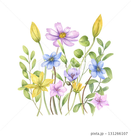 Wild spring flowers bouquet watercolor illustration on isolated background. Blooming plant in pink, blue, yellow colors. Floral composition for Valentine day cards, invitation design, stationery. 131266107