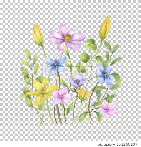 Wild spring flowers bouquet watercolor illustration on isolated background. Blooming plant in pink, blue, yellow colors. Floral composition for Valentine day cards, invitation design, stationery. 131266107