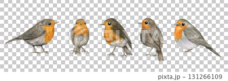 Watercolor charming European robins perched in various poses. Red Robin Bird illustration on isolated background. Spring little birds with orange breast for festive Christmas design, British symbolism Watercolor charming European robins perched in various poses. Red Robin Bird illustration on isolated background. Spring little birds with orange breast for festive Christmas design, British symbolism 131266109