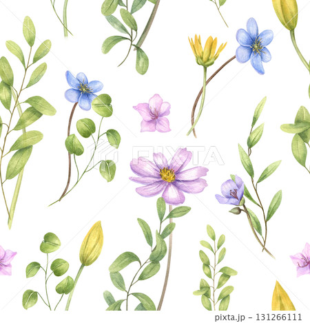 Spring seamless pattern with watercolor tulips, anemones, ranunculus, cosmos and green herbs on isolated background. Floral illustration for textile, wallpaper, wrapping paper, packaging design. Spring seamless pattern with watercolor tulips, anemones, ranunculus, cosmos and green herbs on isolated background. Floral illustration for textile, wallpaper, wrapping paper, packaging design. 131266111