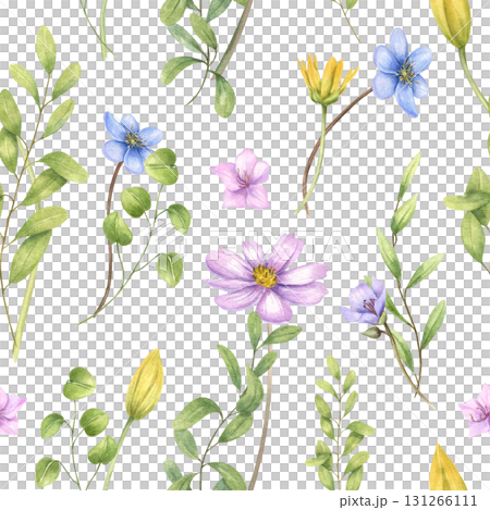 Spring seamless pattern with watercolor tulips, anemones, ranunculus, cosmos and green herbs on isolated background. Floral illustration for textile, wallpaper, wrapping paper, packaging design. Spring seamless pattern with watercolor tulips, anemones, ranunculus, cosmos and green herbs on isolated background. Floral illustration for textile, wallpaper, wrapping paper, packaging design. 131266111