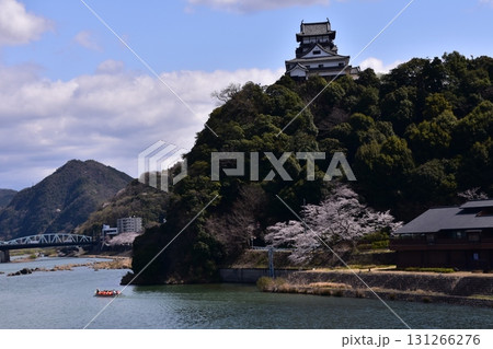 日本の愛知県の犬山市　春の犬山城と満開の桜　木曽川を進む遊覧船と美しい新緑　周辺の宿泊施設や住居 131266276