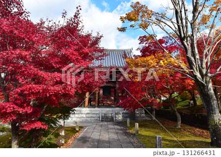 秋の智積院 131266431