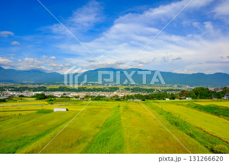 秋の伊那谷を望む【福与の絶景スポットより撮影】 秋の伊那谷を望む【福与の絶景スポットより撮影】 131266620