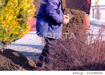 Worker rakes shovel the earth from the tractor bucket in the flower beds in the city. 131266836