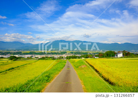 伊那谷と水田【上伊那郡箕輪町】 131266857