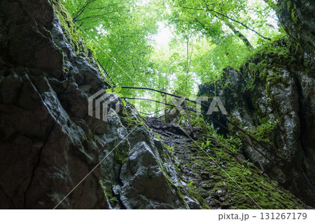 ゴツゴツした岩に囲まれた自然が美しい風景 ゴツゴツした岩に囲まれた自然が美しい風景 131267179