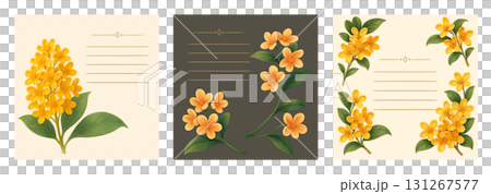 金木犀の花デザインカード、Osmanthus Flower Design Card 金木犀の花デザインカード、Osmanthus Flower Design Card 131267577