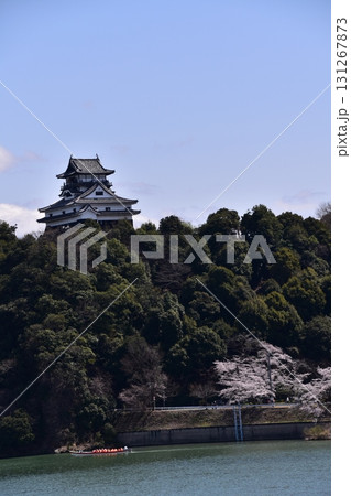 日本の愛知県の犬山市 春の犬山城と満開の桜 木曽川を進む遊覧船と立派な天守閣 美しい新緑と快晴の青空 日本の愛知県の犬山市 春の犬山城と満開の桜 木曽川を進む遊覧船と立派な天守閣 美しい新緑と快晴の青空 131267873
