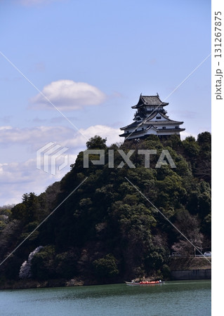 日本の愛知県の犬山市 春の犬山城と満開の桜 木曽川を進む遊覧船と立派な天守閣 美しい新緑と快晴の青空 日本の愛知県の犬山市 春の犬山城と満開の桜 木曽川を進む遊覧船と立派な天守閣 美しい新緑と快晴の青空 131267875
