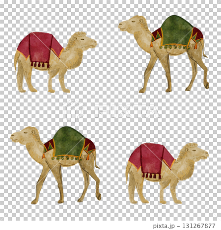 Camels with colorful oriental blankets watercolor seamless pattern. Hand painted art perfect for textile, wrapping paper, true Christmas decor, Middle Eastern themes, travel, or cultural design Camels with colorful oriental blankets watercolor seamless pattern. Hand painted art perfect for textile, wrapping paper, true Christmas decor, Middle Eastern themes, travel, or cultural design 131267877