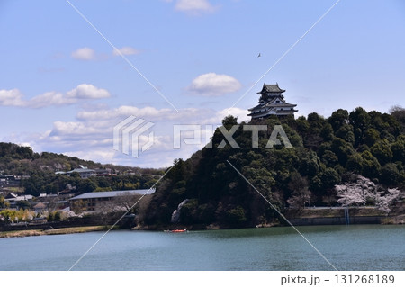 日本の愛知県の犬山市　春の犬山城と満開の桜　木曽川を進む遊覧船と美しい新緑　周辺の宿泊施設や住居 131268189
