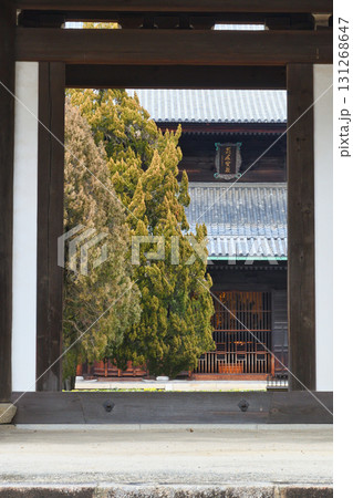 京都　冬の東福寺　三門（京都市東山区） 131268647