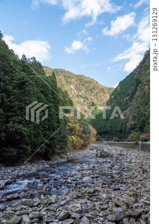 三重県 香落渓 紅葉 三重県 香落渓 紅葉 131269129
