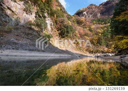 三重県　香落渓　紅葉 131269139