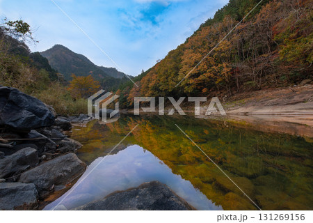 三重県　香落渓　紅葉 131269156