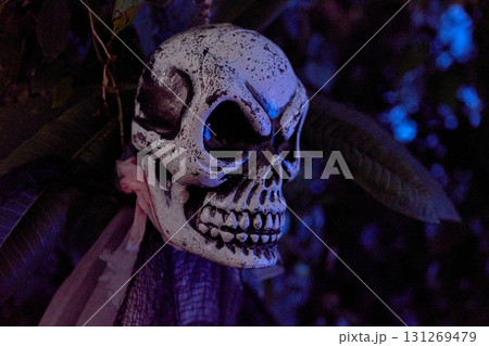 Closeup of a spooky skull prop lit by cool blue light in the dark. Textured paint and deep eye sockets add eerie Halloween detail. 131269479