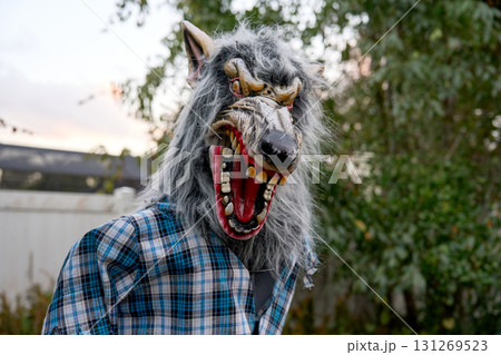 A scary werewolf with long gray fur and wide open jaws shows sharp teeth. Halloween monster portrait outdoors with plaid shirt costume. 131269523