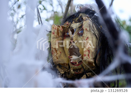 A mutilated doll face with cracked latex and smeared blood hangs in sticky webs. Spooky Halloween prop framed by branches in an outdoor yard. A mutilated doll face with cracked latex and smeared blood hangs in sticky webs. Spooky Halloween prop framed by branches in an outdoor yard. 131269526