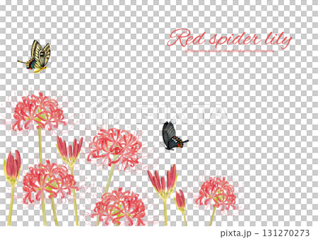 Hand-drawn illustration of a butterfly and red spider lily 131270273