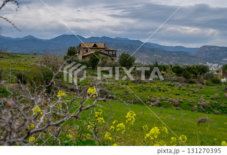 Majestic countryside residence nestled among rolling hills and blooming flora 131270395