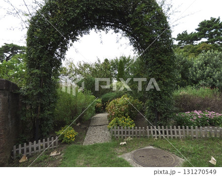 緑のアーチをくぐり抜ける小道が続くイングリッシュガーデン 緑のアーチをくぐり抜ける小道が続くイングリッシュガーデン 131270549