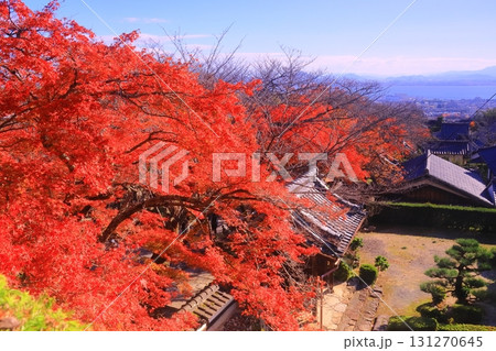 西教寺(滋賀県大津市)の紅葉 西教寺(滋賀県大津市)の紅葉 131270645