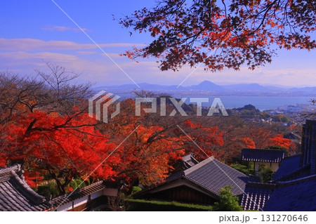 西教寺（滋賀県大津市）の紅葉　琵琶湖を望む 131270646