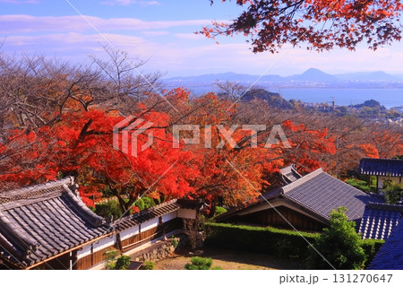 西教寺（滋賀県大津市）の紅葉 131270647