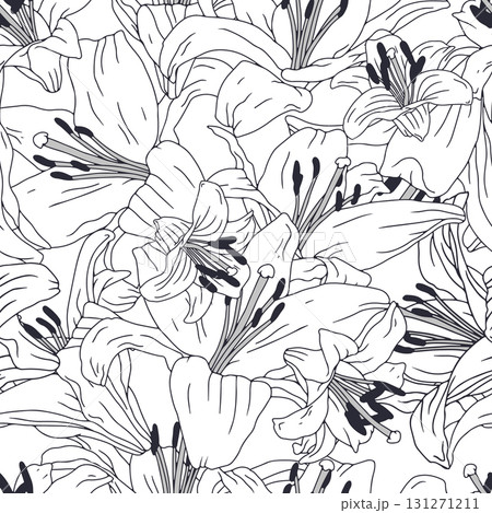 Black and white line art vintage seamless pattern with hand drawn lily flowers 131271211